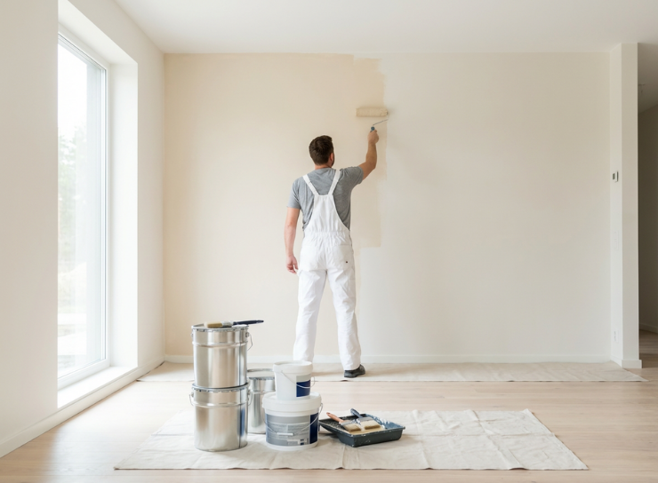 İç ve Dış Cephe Boyası